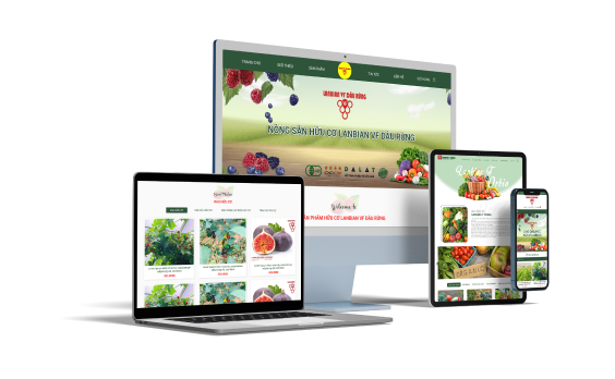 Bài viết giới thiệu 3